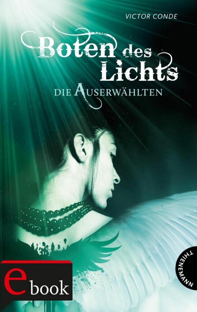 Boten des Lichts main product photo