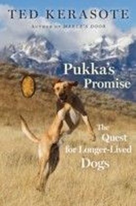 Pukka's Promise main product photo