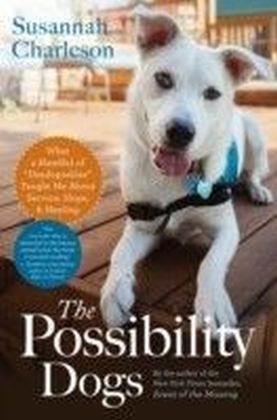 Possibility Dogs