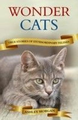Wonder Cats