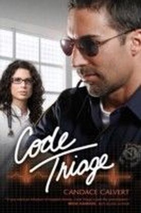 Code Triage main product photo