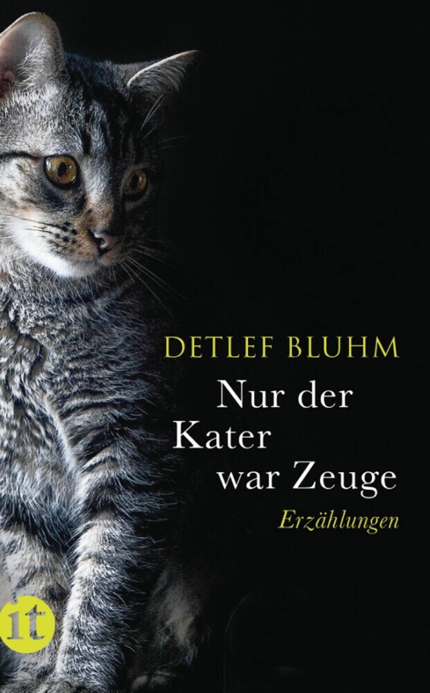 Nur der Kater war Zeuge main product photo