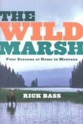 Wild Marsh