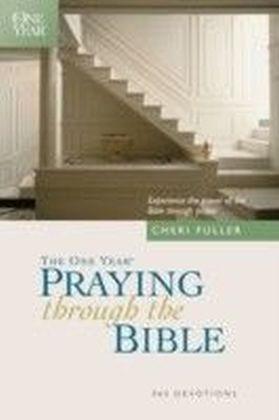 One Year Praying through the Bible