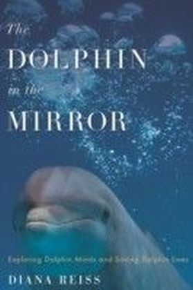 Dolphin in the Mirror