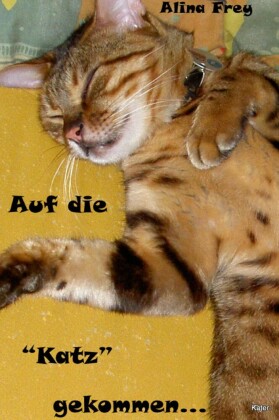 Auf die 'Katz' gekommen...
