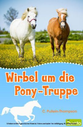 Wirbel um die Pony-Truppe