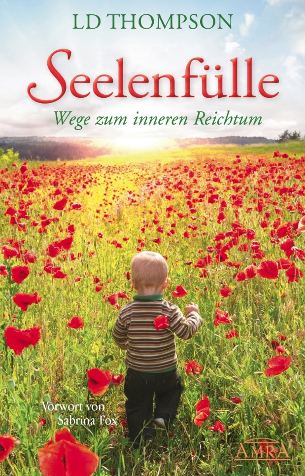 SEELENFÜLLE: Wege zum inneren Reichtum main product photo