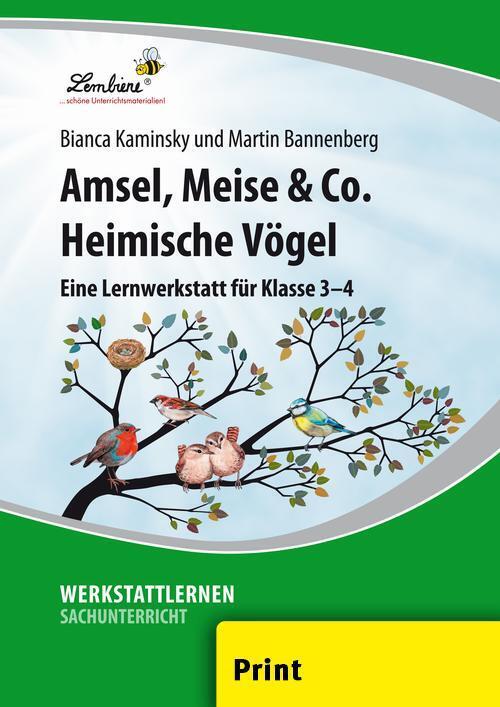 Amsel, Meise & Co: Heimische Vögel main product photo