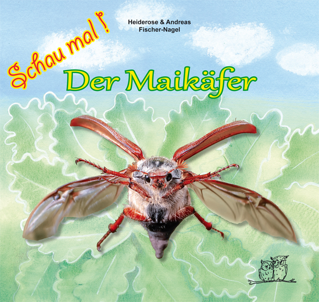 Der Maikäfer main product photo