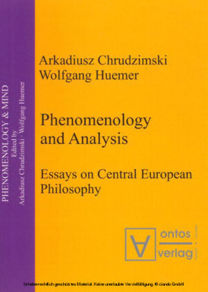 Phenomenology & Analysis