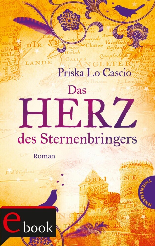 Das Herz des Sternenbringers main product photo