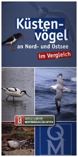 Küstenvögel an Nord- und Ostsee im Vergleich main product photo