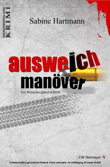 Ausweichmanöver main product photo