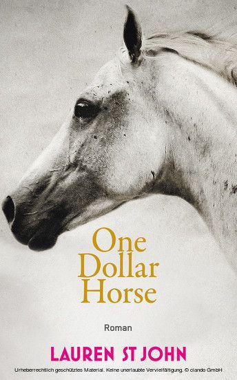 One Dollar Horse main product photo