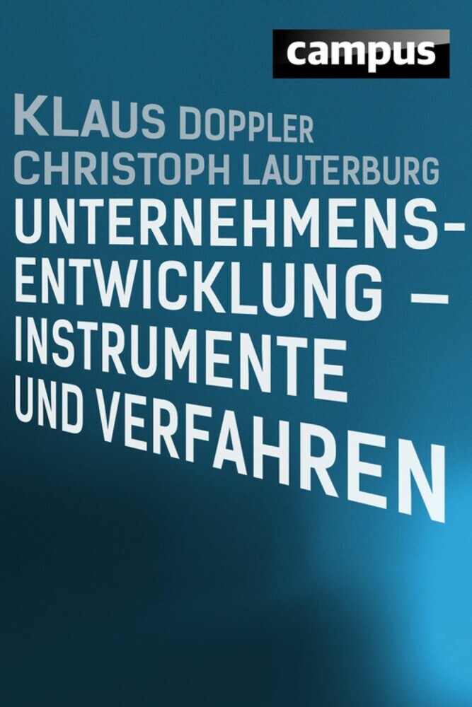 Unternehmensentwicklung - Instrumente und Verfahren main product photo