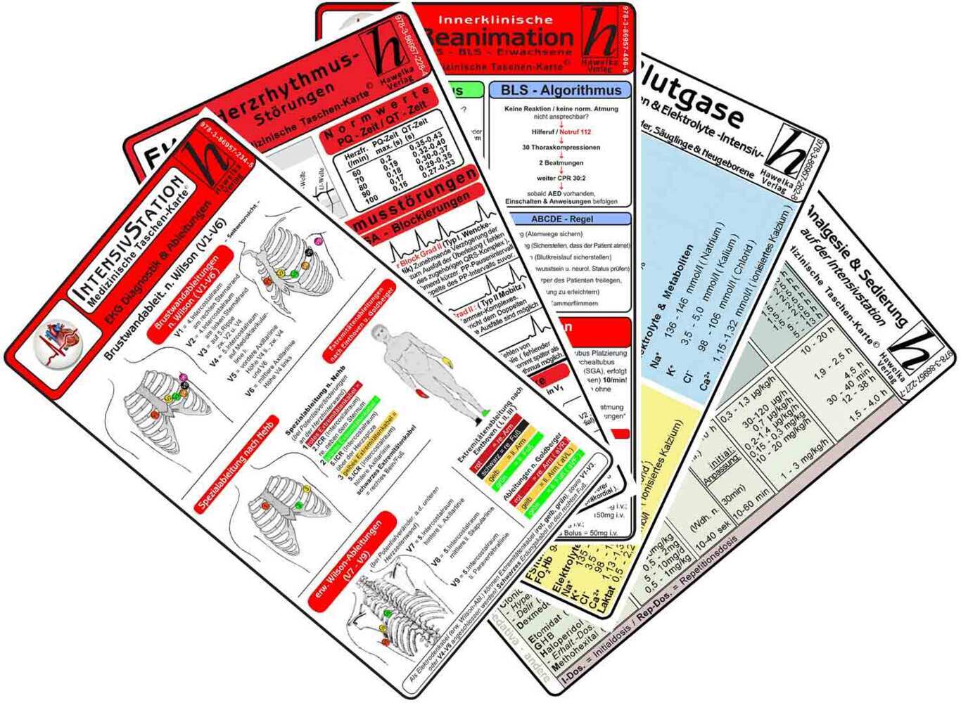 Intensiv-Station Karten-Set - EKG Diagnostik & Ableitungen, Herzrhythmusstörungen, Reanimation - Innerklinisch, Blutgase, Säure-Basen & Elektrolyte -Intensiv-, Analgesie & Sedierung auf der Intensivstation main product photo