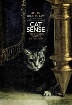 Cat Sense main product photo