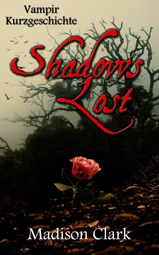 Shadows Lost main product photo