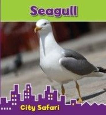 Seagull main product photo