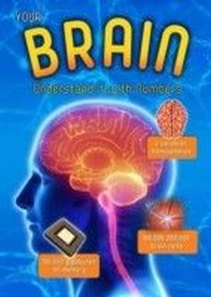 Your Brain