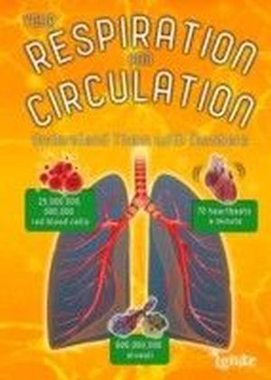 Your Respiration and Circulation