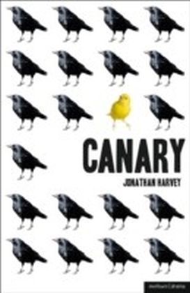 Canary main product photo