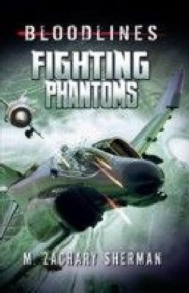Fighting Phantoms main product photo