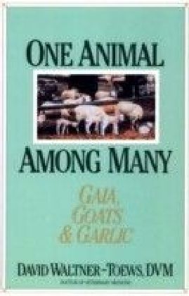 One Animal Among Many