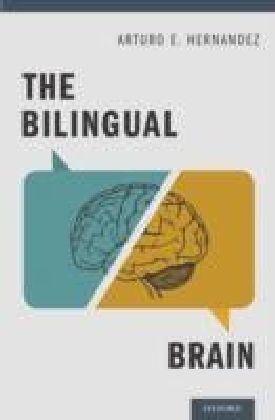 Bilingual Brain