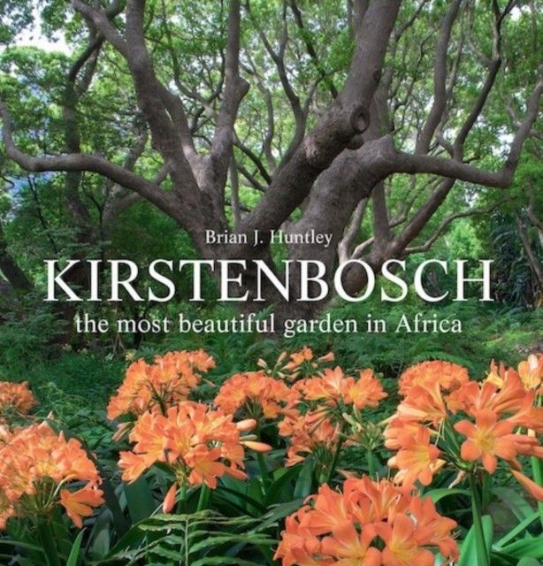 Kirstenbosch - the most beautiful garden in Africa main product photo