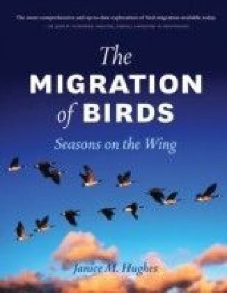 Migration of Birds