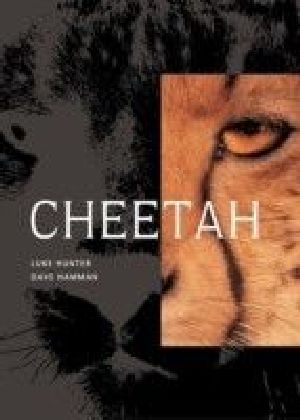 Cheetah