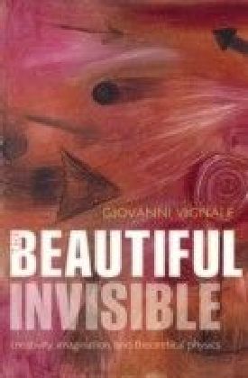 Beautiful Invisible: Creativity, imagination, and theoretical physics