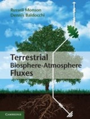 Terrestrial Biosphere-Atmosphere Fluxes main product photo