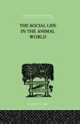 Social Life In The Animal World