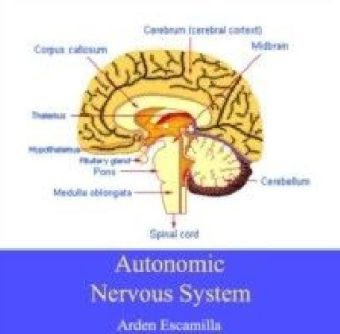 Autonomic Nervous System