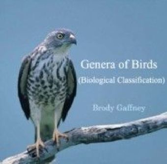 Genera of Birds (Biological Classification)