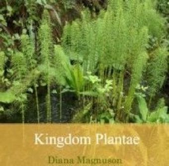 Kingdom Plantae main product photo