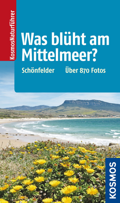 Was blüht am Mittelmeer? main product photo