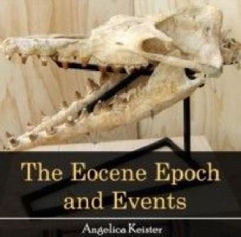 The Eocene Epoch and Events
