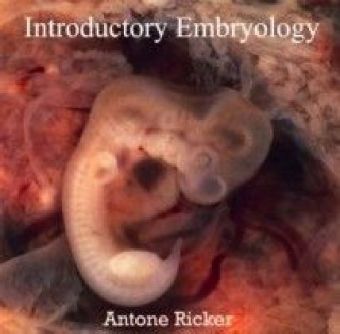 Introductory Embryology main product photo