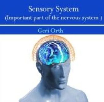 Sensory System (Important part of the nervous system)