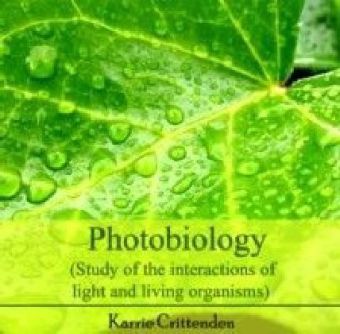 Photobiology (Study of the interactions of light and living organisms)