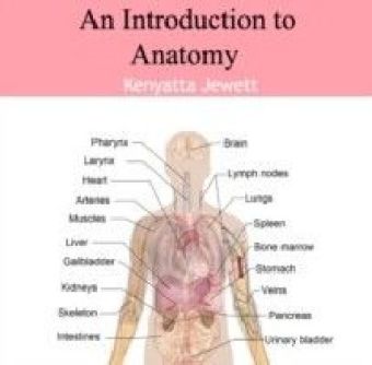 Introduction to Anatomy, An