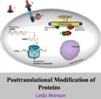 Posttranslational Modification of Proteins main product photo