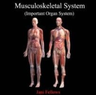 Musculoskeletal System (Important Organ System)