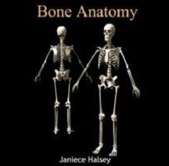 Bone Anatomy