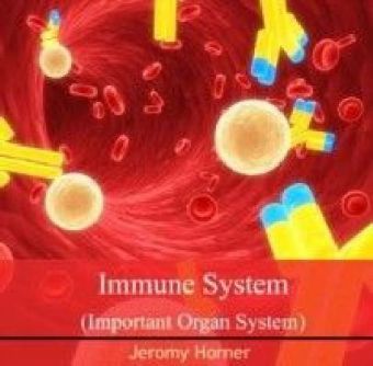 Immune System (Important Organ System)