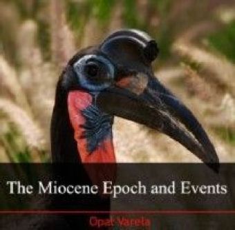 The Miocene Epoch and Events